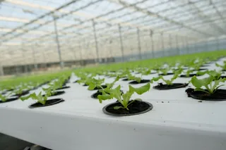 Фото: Владимир Третьяков