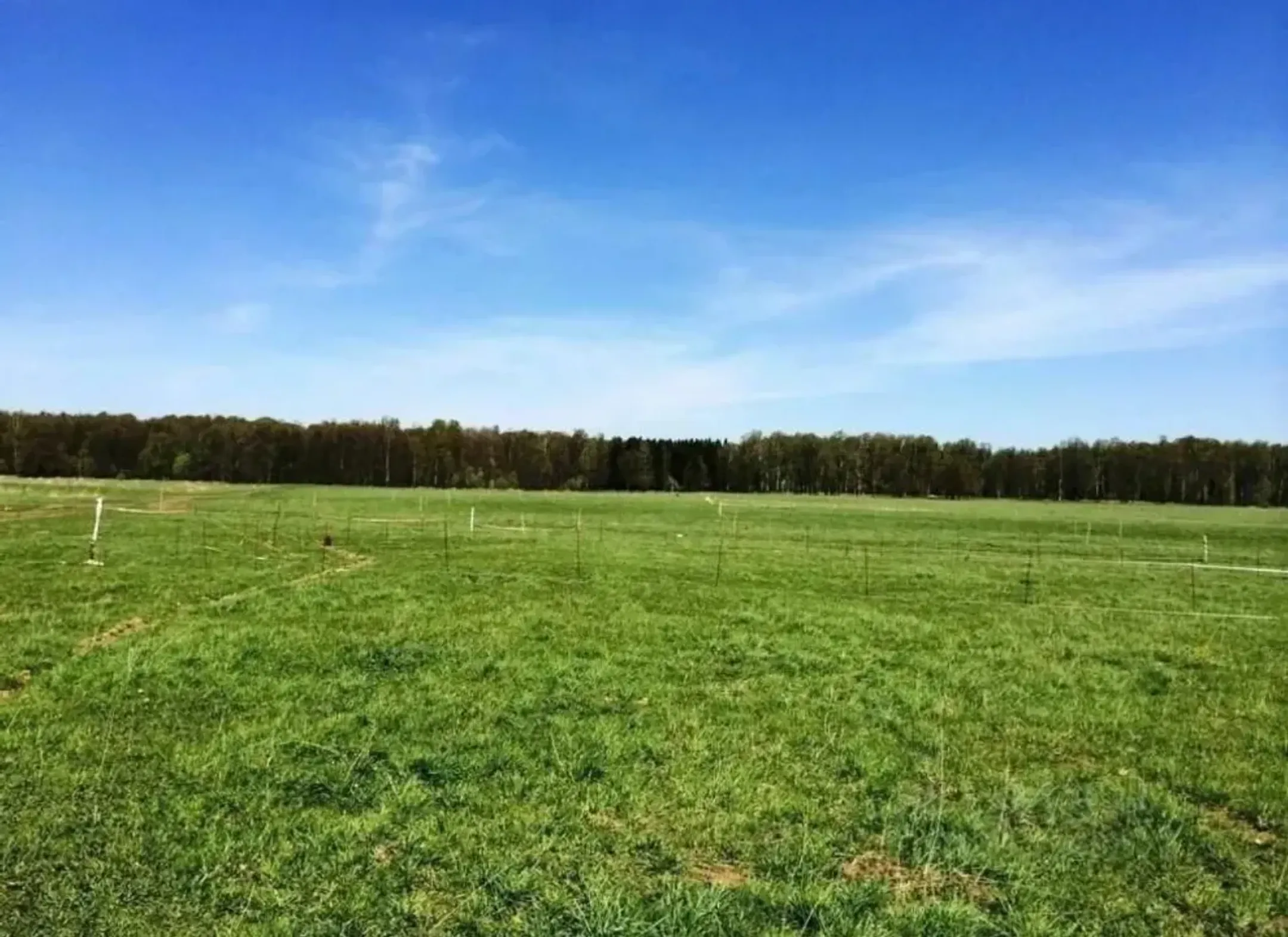 Фото: Жамбыл облысының прокуратурасы