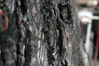 Капитал - Из-за возгорания ели в Алматы повреждены 4 машины