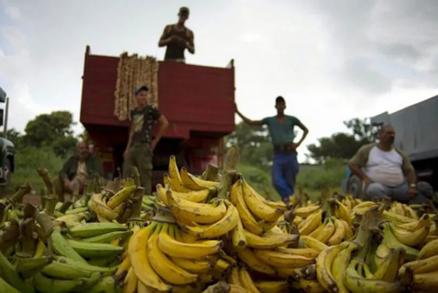 Капитал - В 2016 году торговый договор ЕС и Эквадора вступит в силу