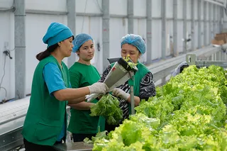 Капитал - Как реализуется программа «Дорожная карта занятости 2020»?