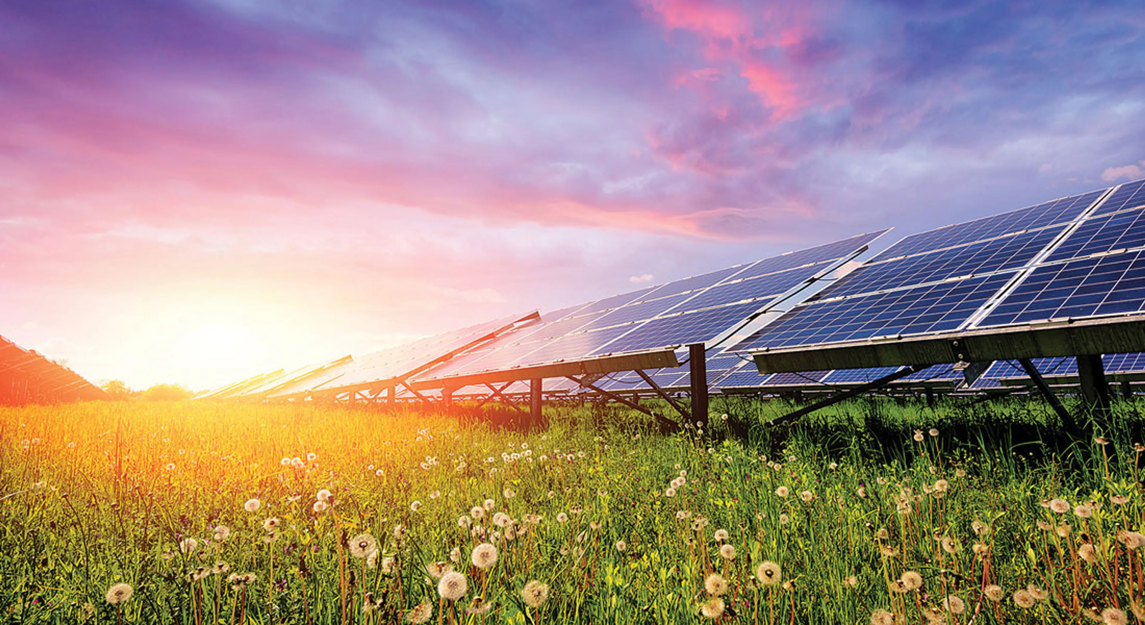 Капитал - Свыше 100 фермерских хозяйств закупили солнечные энергогенераторы в ЗКО