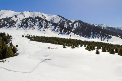 Как заработать на глобальном потеплении?