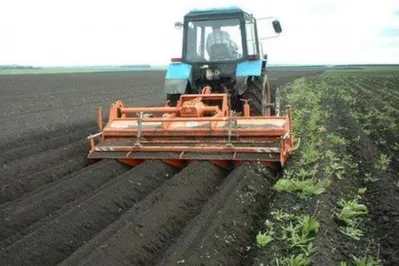 25 лет аренды земли назвали разумным сроком