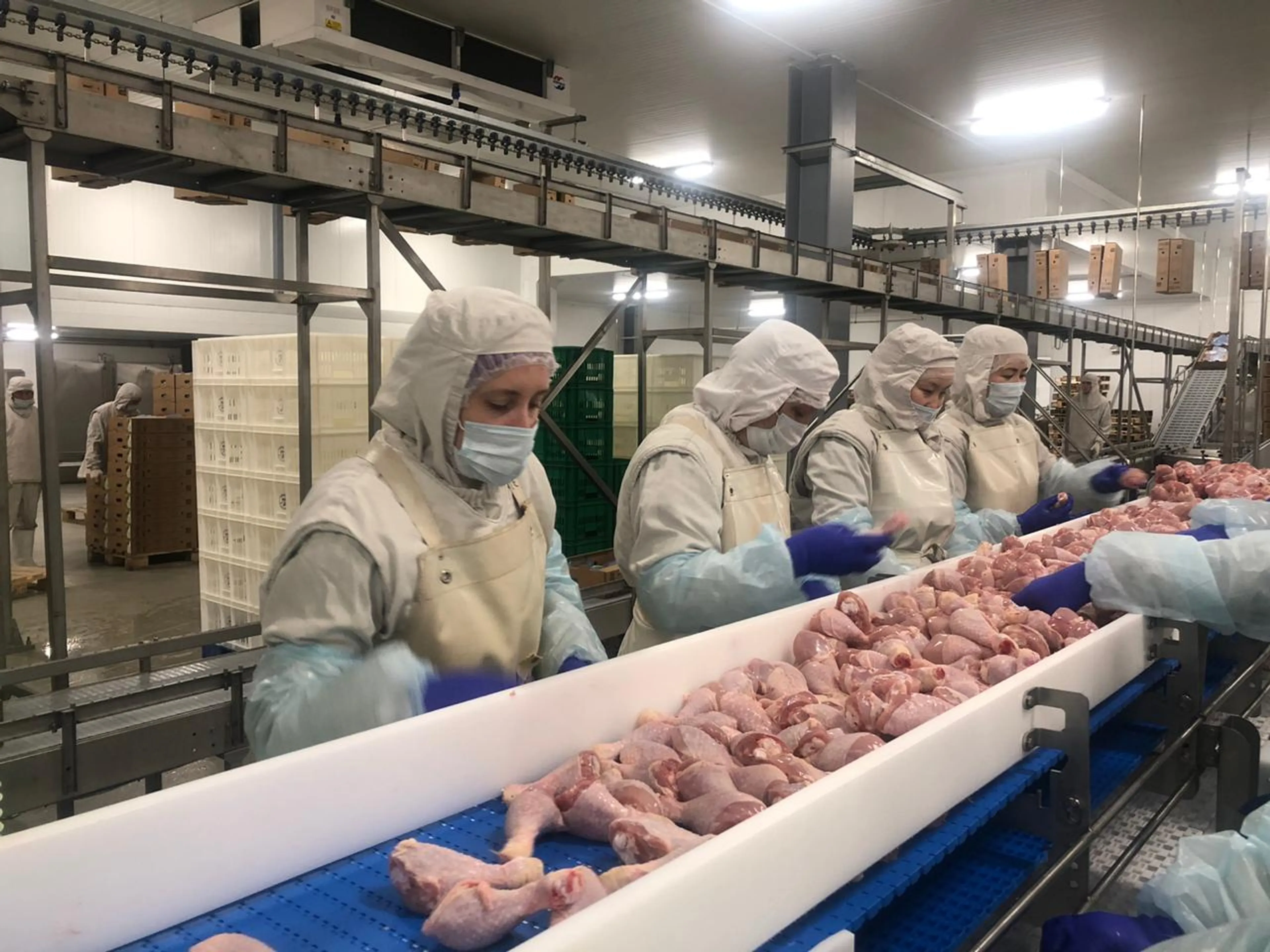 Капитал - На Макинской птицефабрике расширили производство