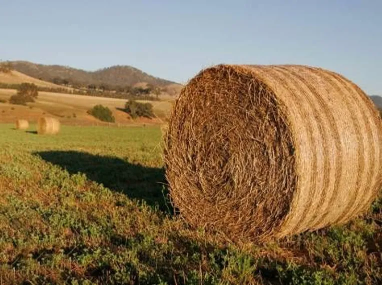 Капитал - КТЖ продлил скидки на перевозку сена в пострадавшие от засухи регионы