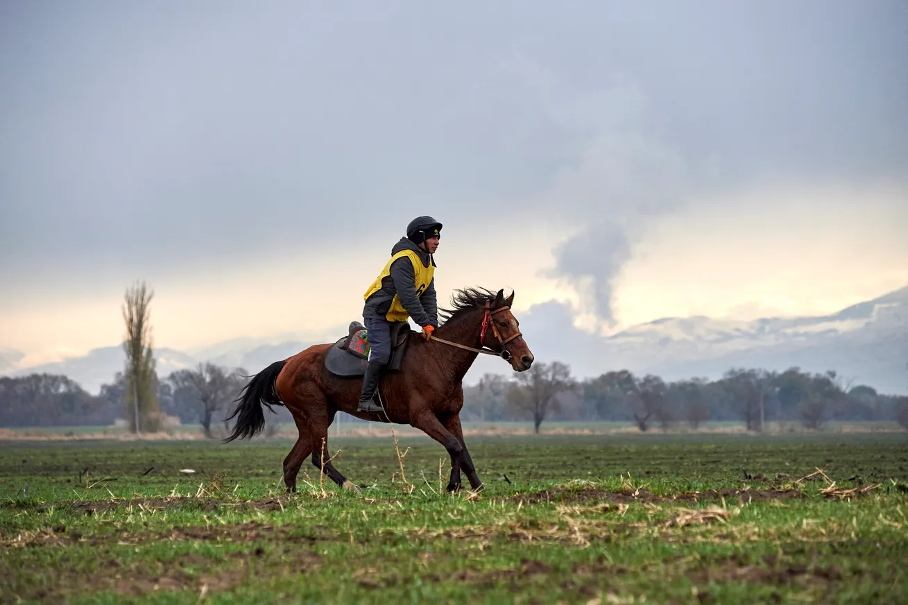 В Казахстане прошли Международные соревнования CEI1 - фото kapital.kz