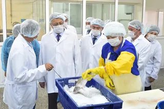 Капитал - В Шардаре произведено рыбной продукции на 1,3 млрд тенге