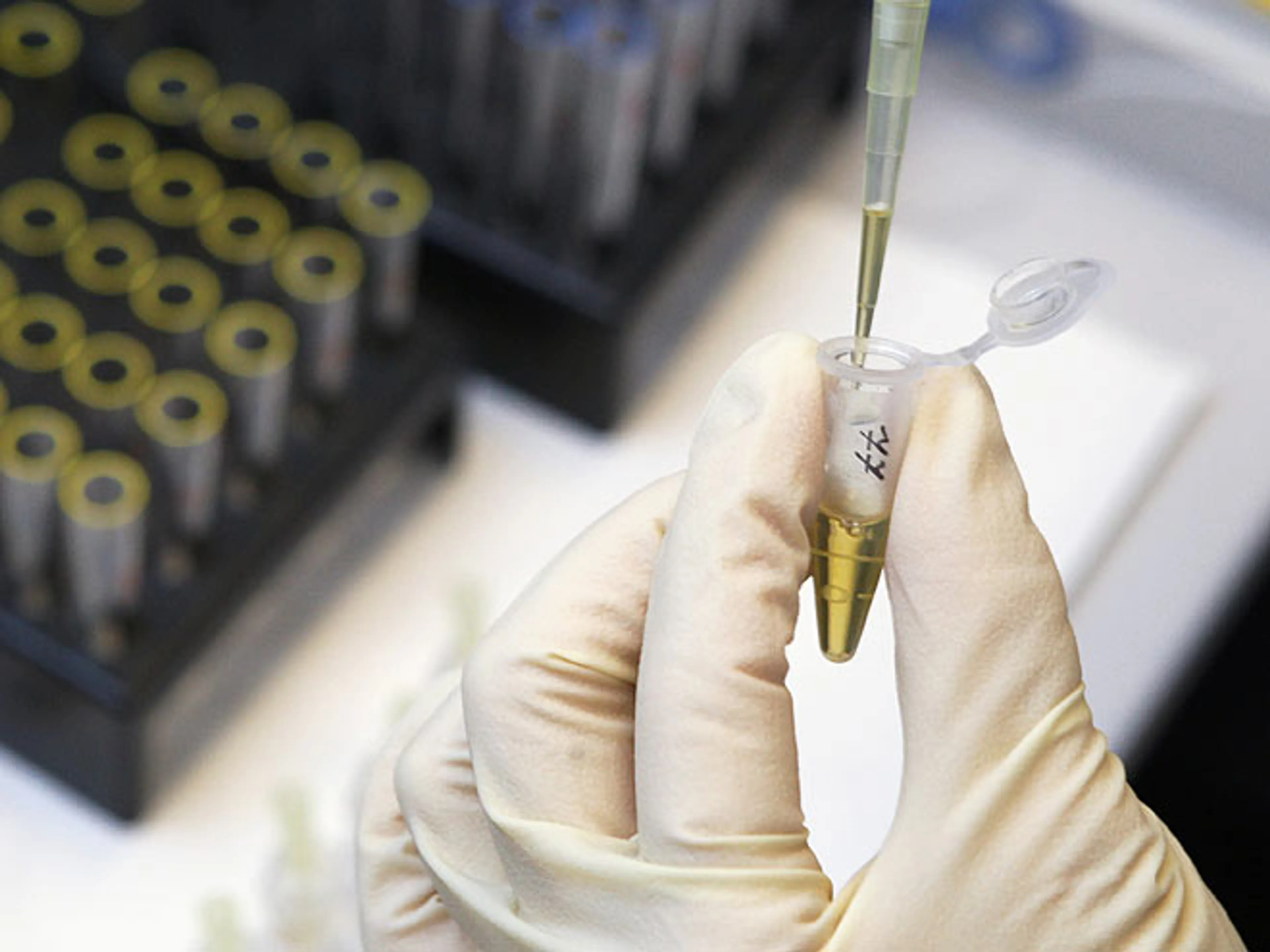 Капитал - Депутаты предложили наказывать спортсменов за допинг-скандалы