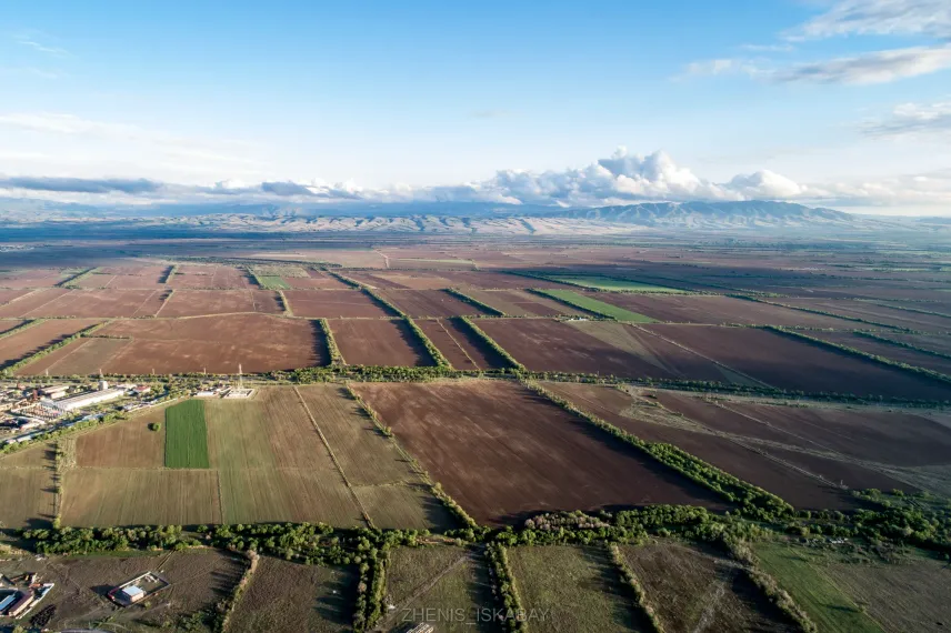 Фото: акимат области Жетысу