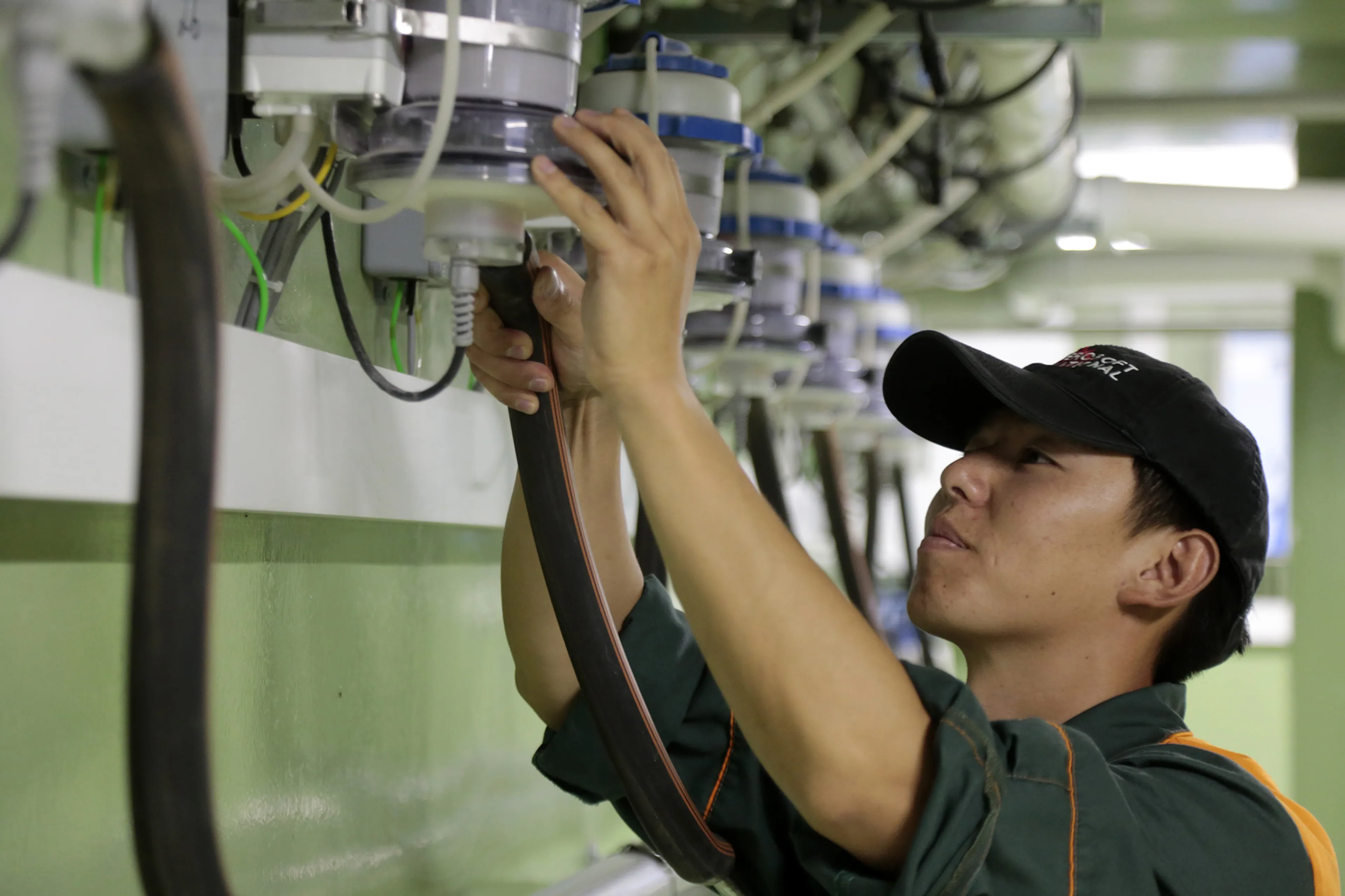 Фото: Руслан Пряников