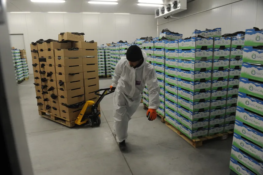 Фото: Владимир Третьяков