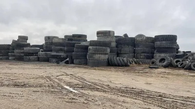 Фото: Экология және табиғи ресурстар министрлігі
