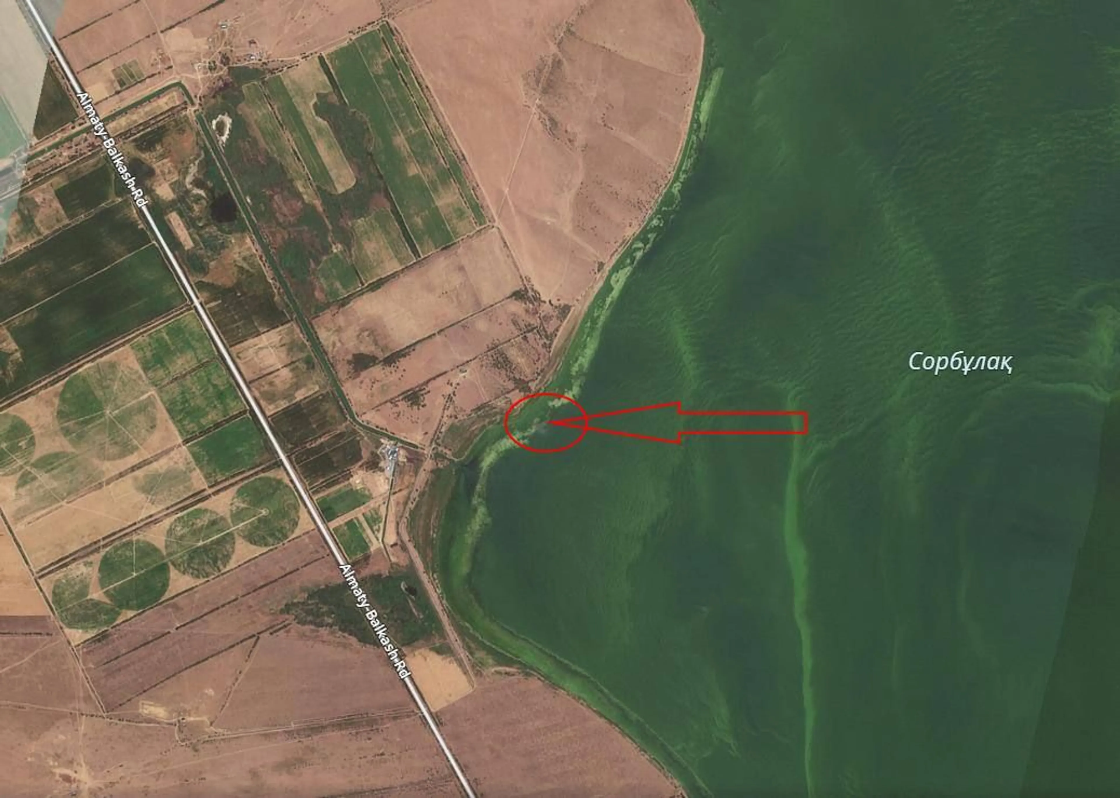 Фото: пресс-служба МЧС 