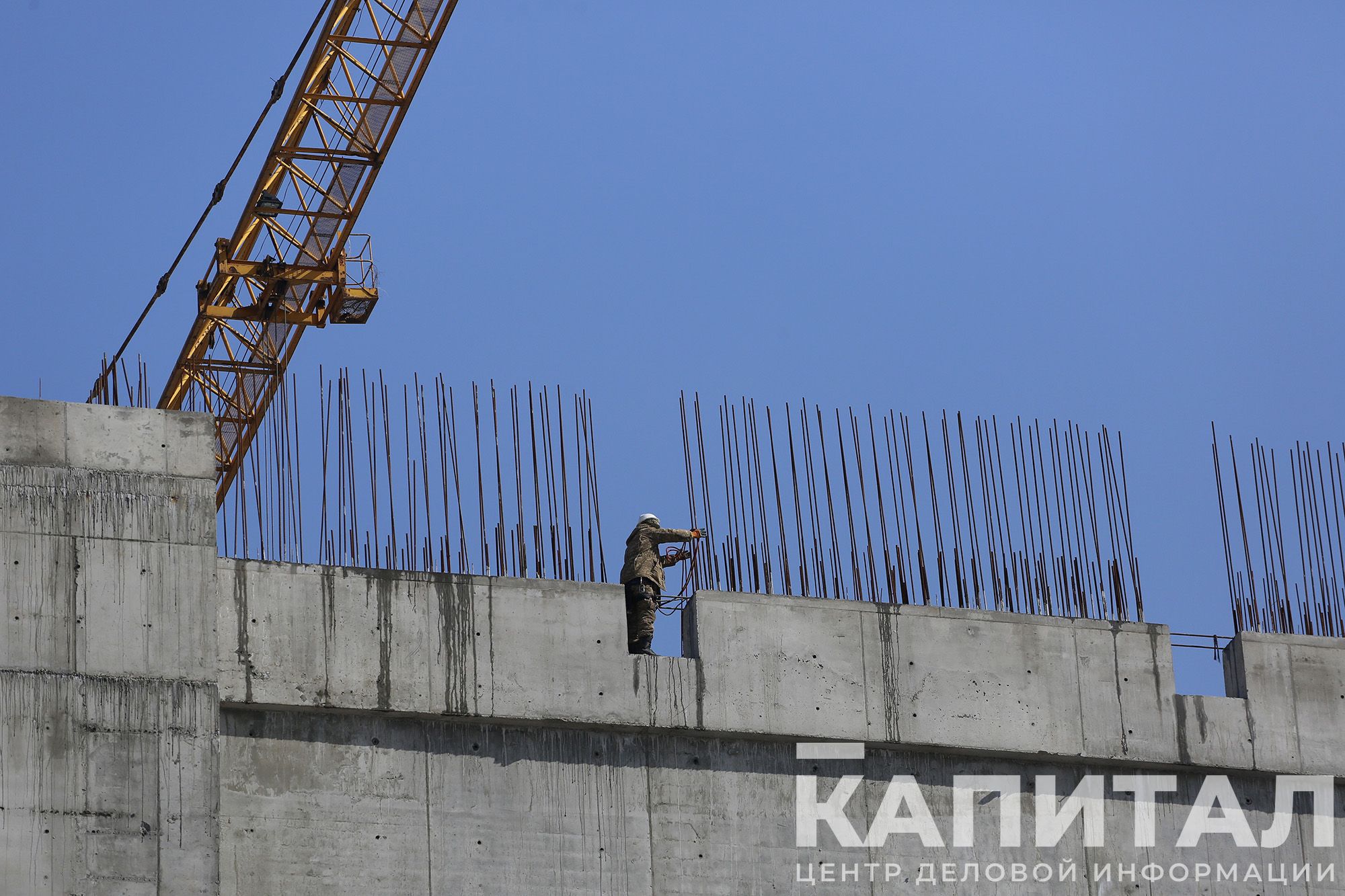 Фото: Руслан Пряников 