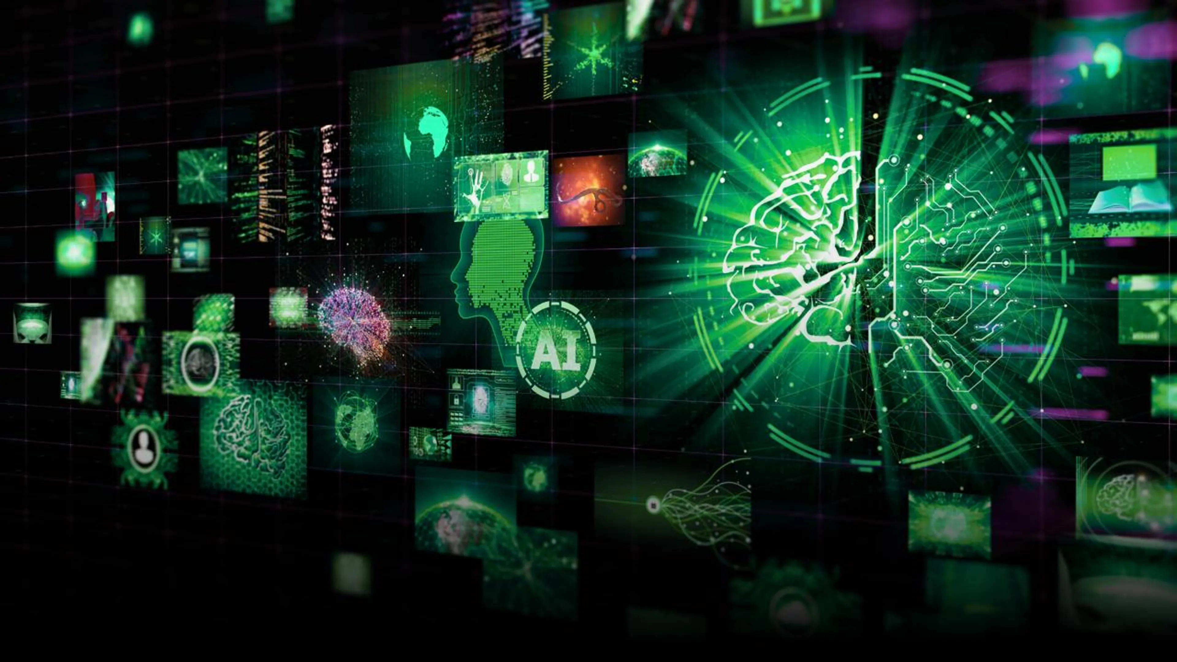 Капитал - «Байтерек» оцифровал 44 услуги для предпринимателей на портале bgov.kz