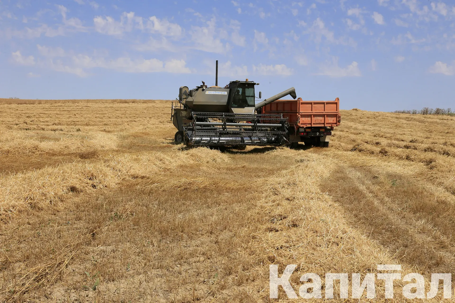Фото: Руслан Пряников