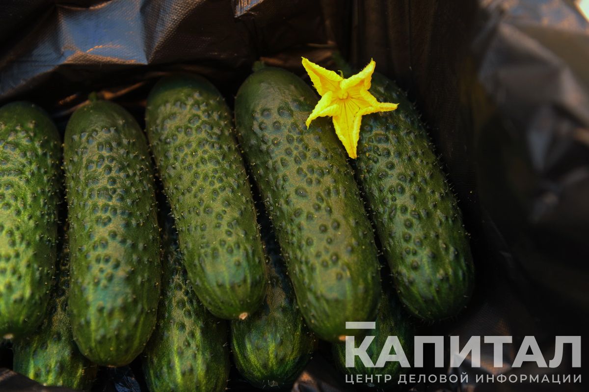 Фото: Владимир Третьяков