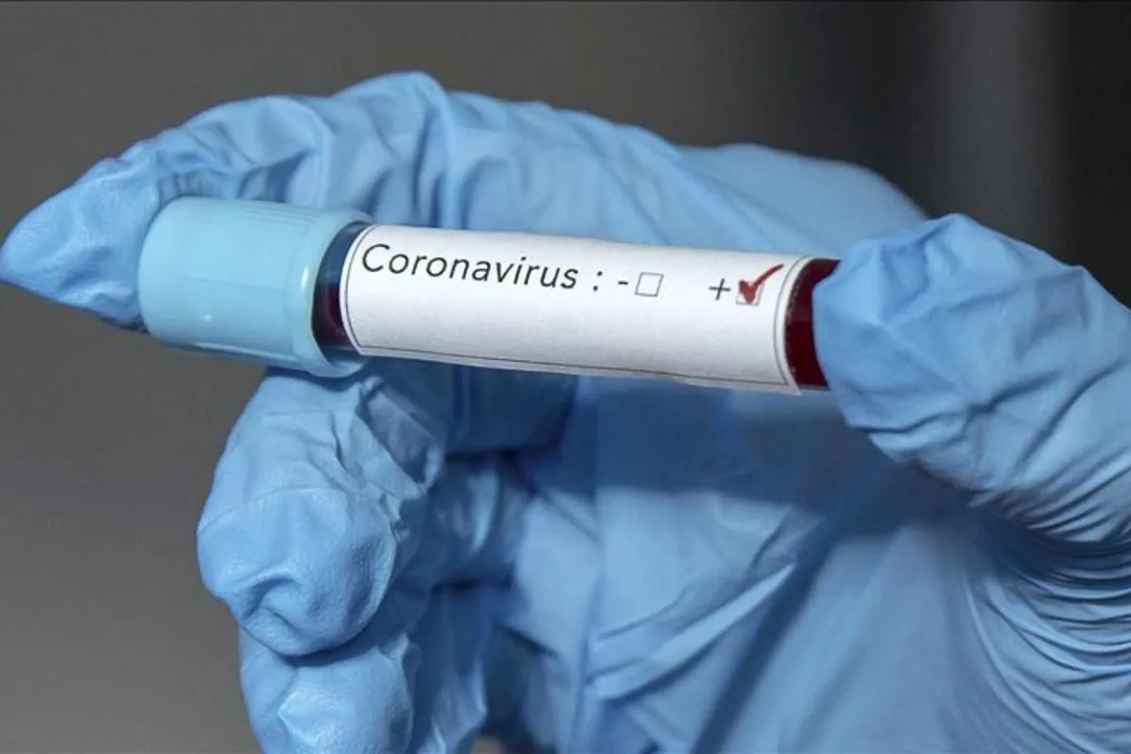 Капитал - Германия смягчит правила въезда в страну