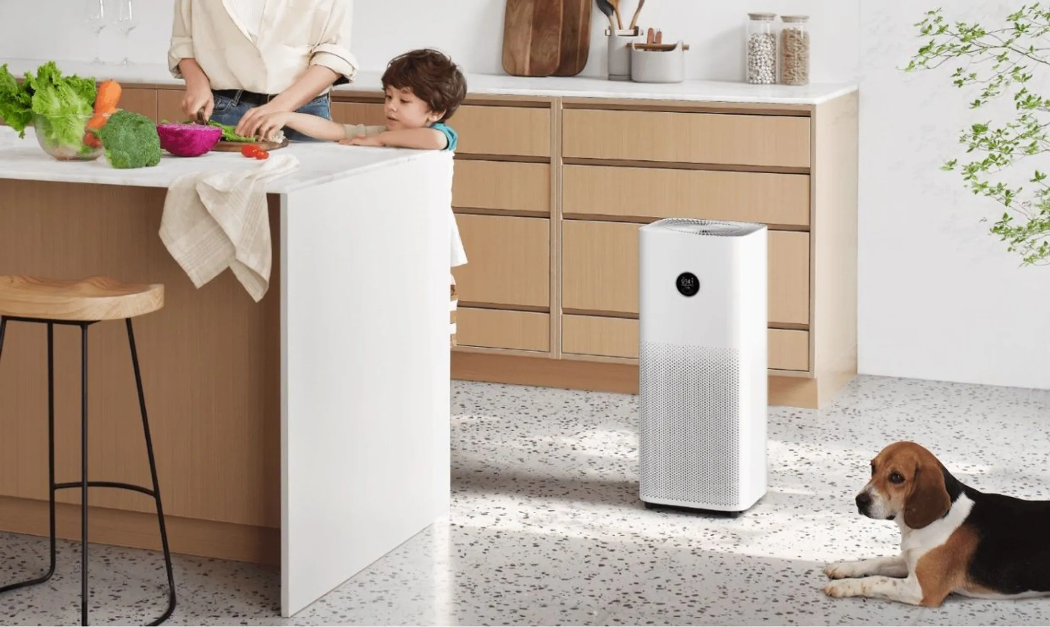 Изображение Kapital.kz