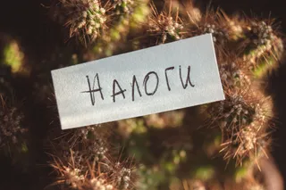 Капитал - Порог по НДС будет равен 40 млн тенге – Серик Жумангарин 