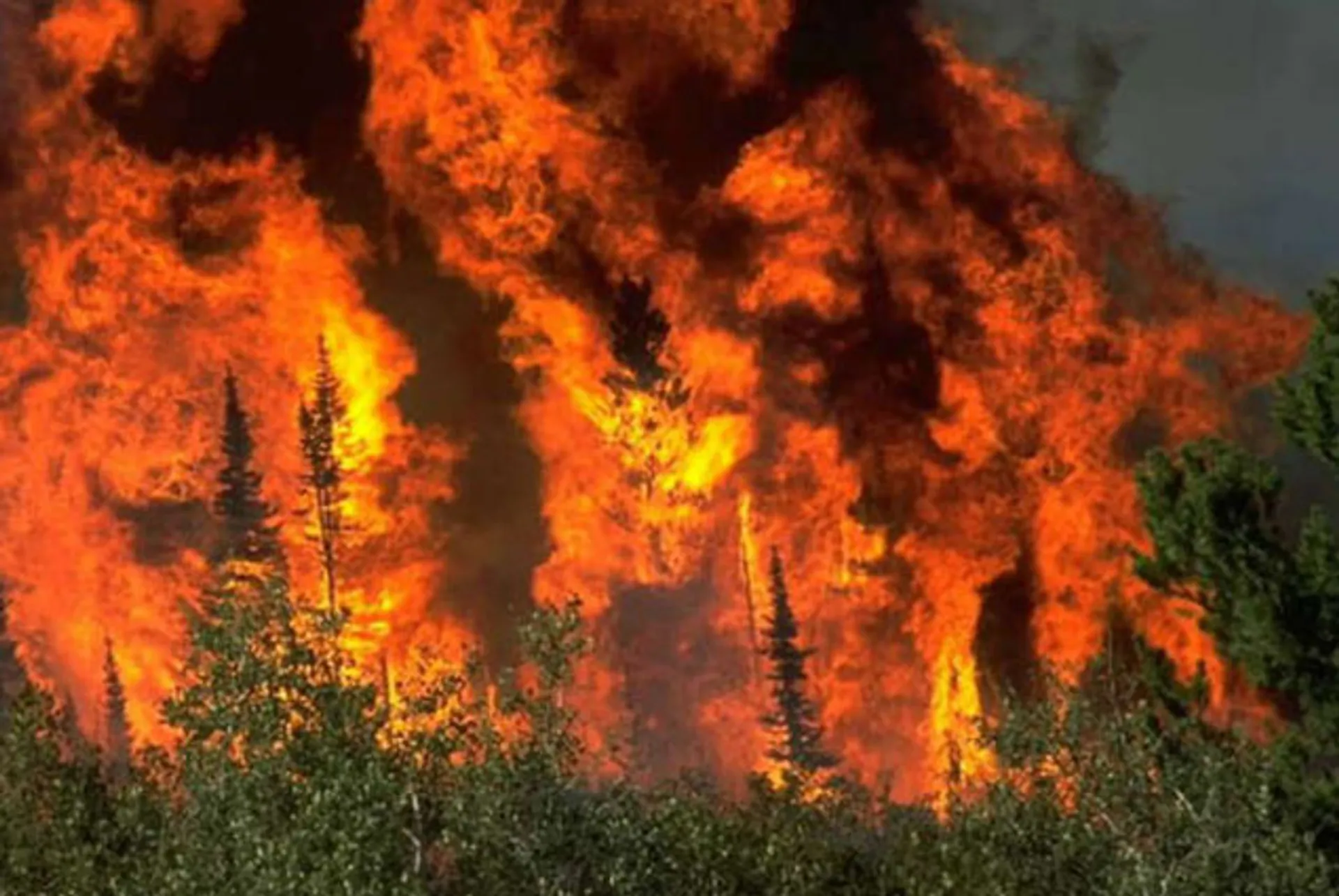 Капитал - Все население города в Канаде приказано эвакуировать