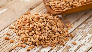 Business Wisdom Summit