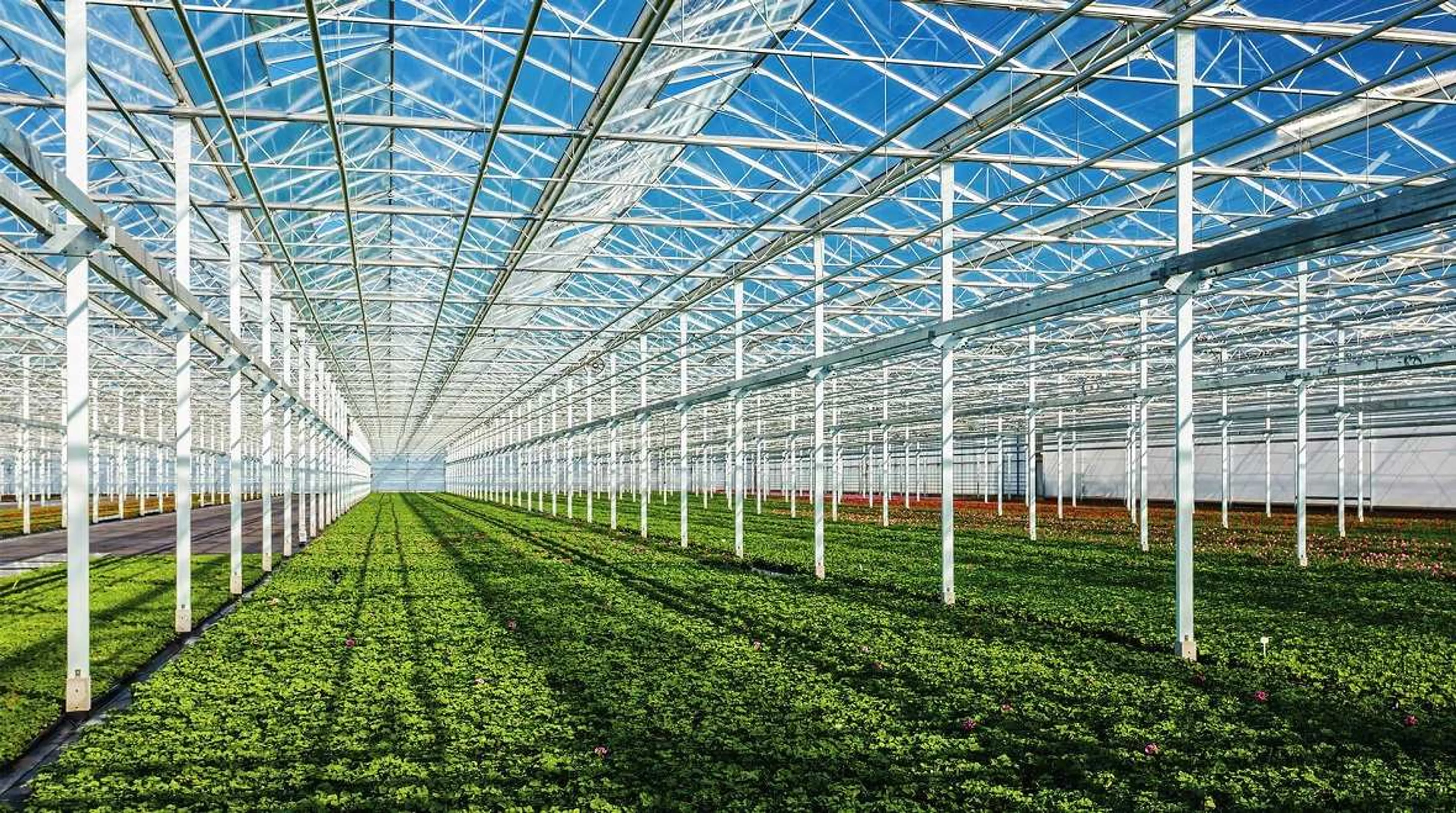 Капитал - Тепличный бизнес Казахстана будет сотрудничать с Ассоциацией малой энергетики России