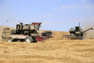 Руслан Пряников 