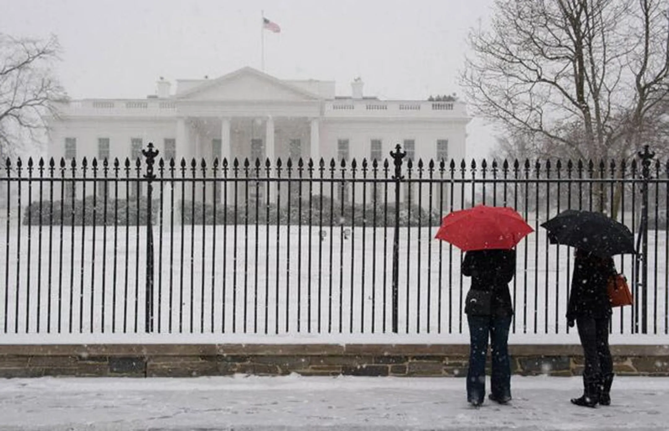 Работа федерального правительства США приостановлена - Image Kapital.kz