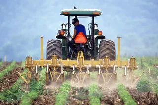 Капитал - Казахстанские фермеры недополучают субсидии