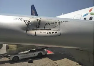 Капитал - «Эйр Астана»: безопасности полетов угрожают птицы