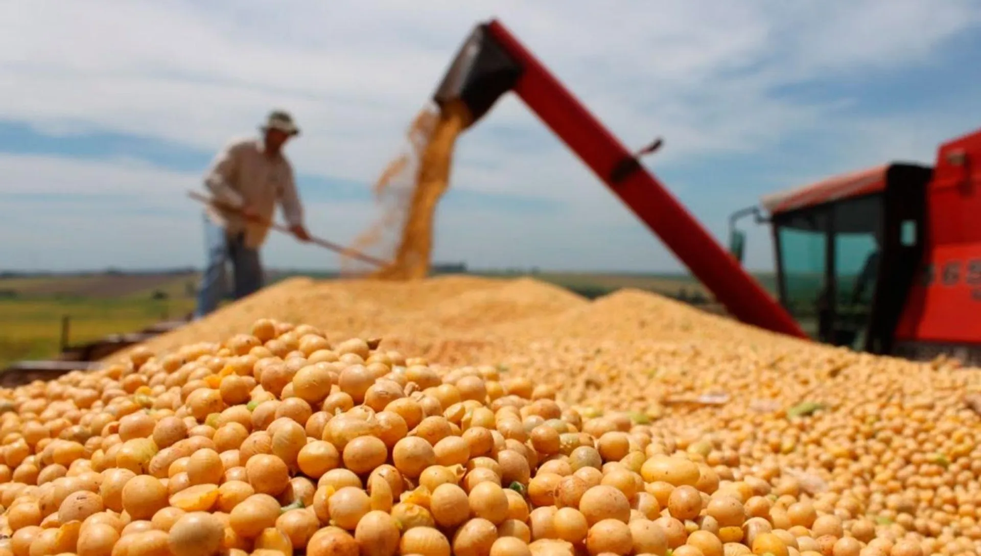 Капитал - Казахстан ежегодно наращивает площади посевов сои