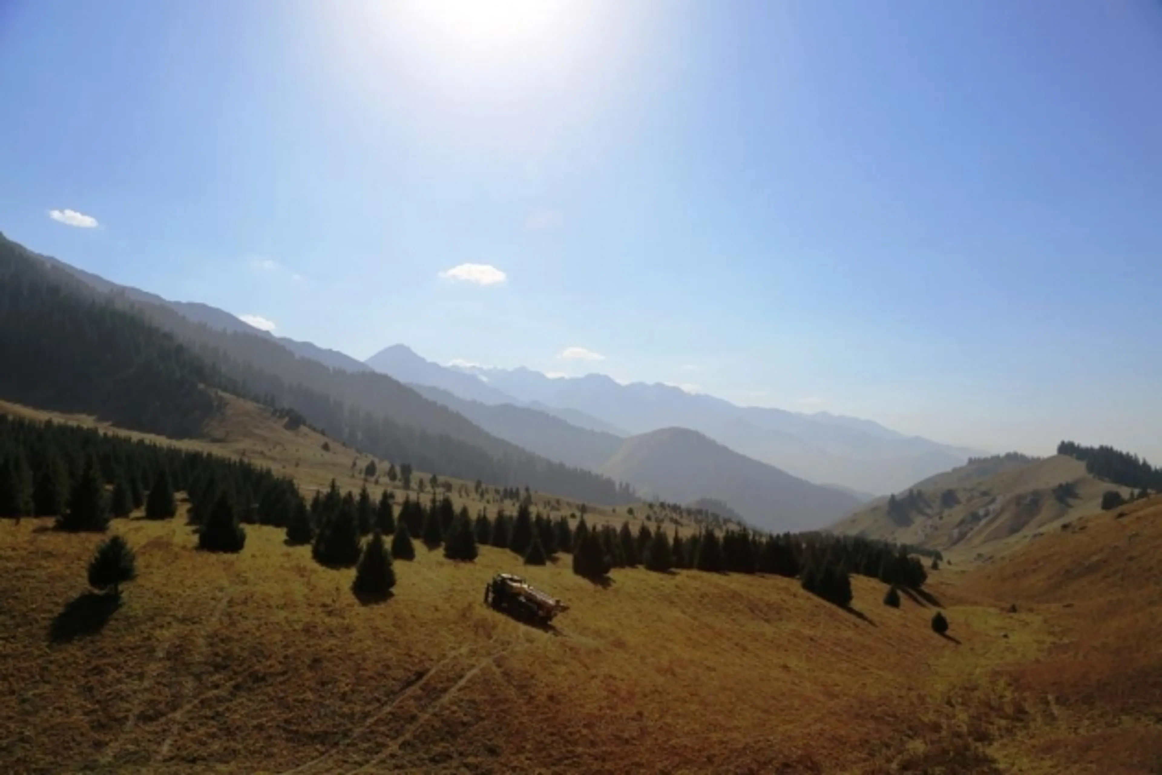 Капитал - Иск защитников Кок-жайлау был отклонен судом