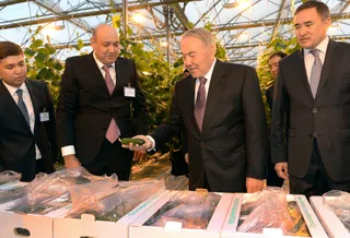 Капитал - Шымкент станет городом-миллионником