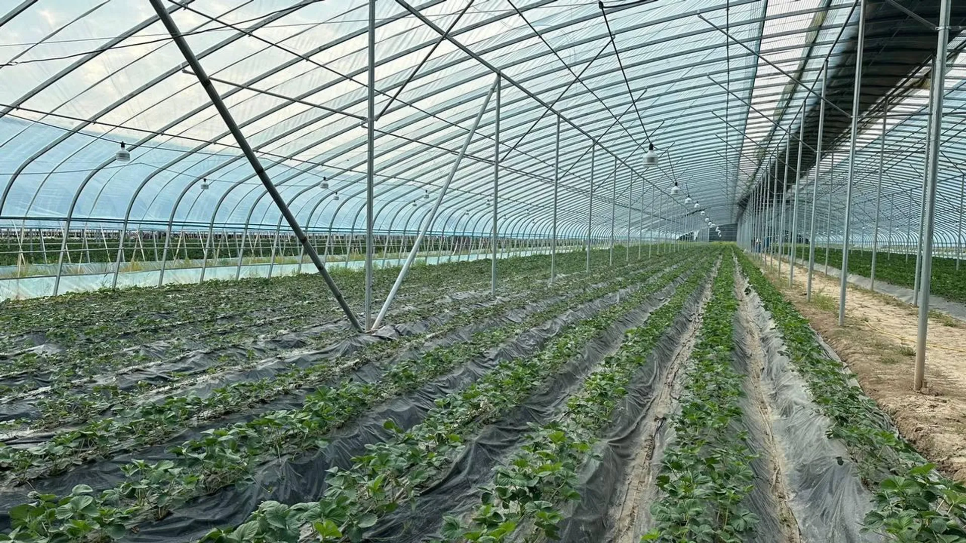 Фото: Министерство сельского хозяйства РК 