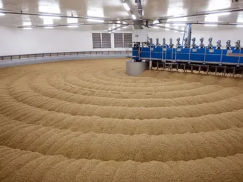 Китайская компания поможет построить зерноперерабатывающий завод в РК