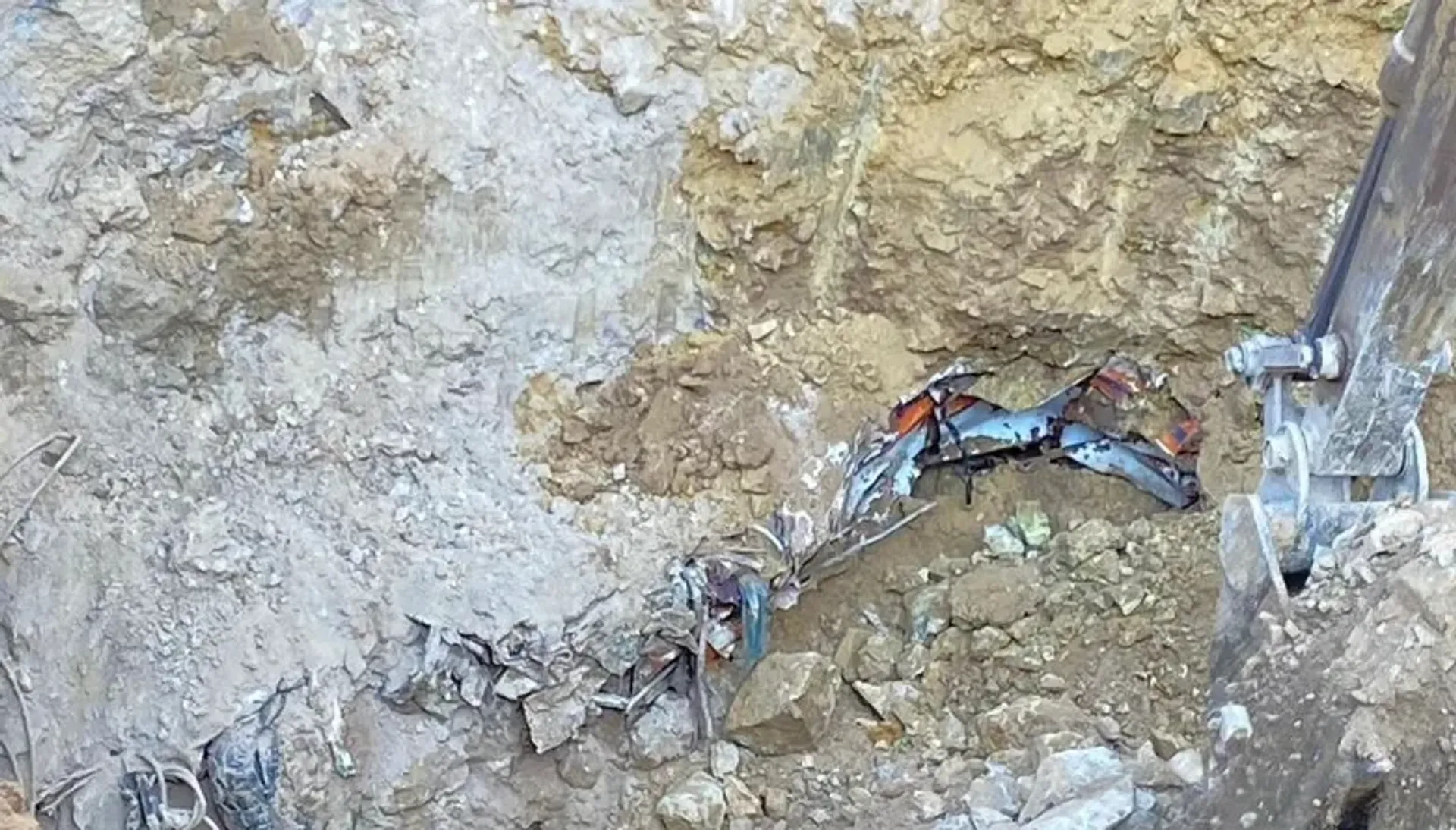 Фото: пресс-служба акимата Павлодарской области
 