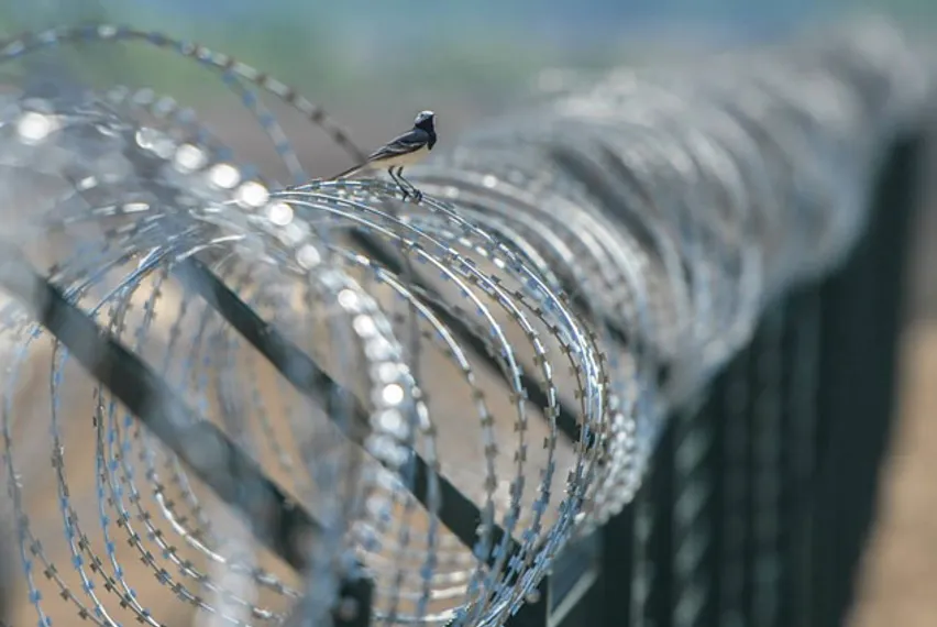 Капитал - Венгрия отгородится от мигрантов забором