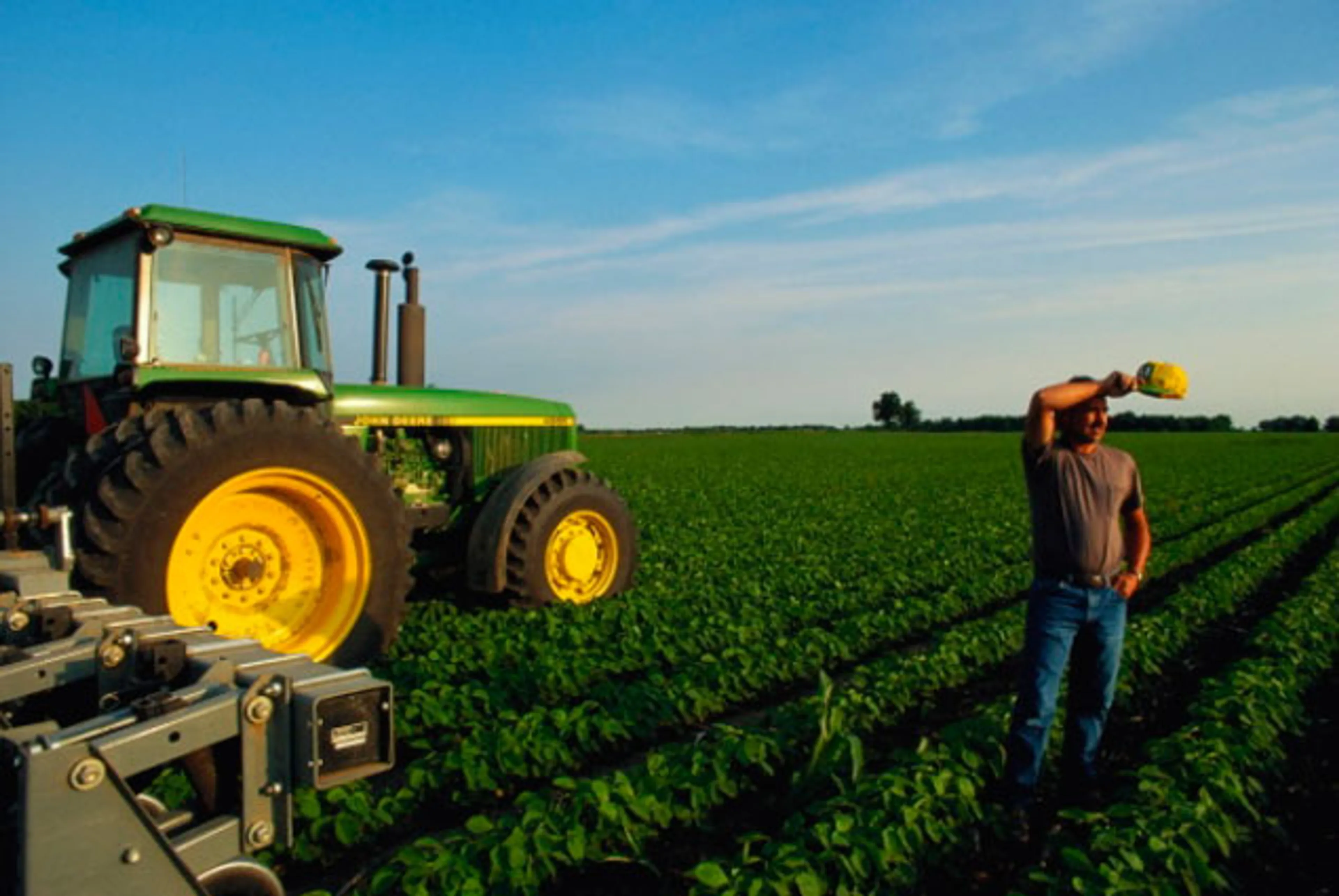 Капитал - Получать субсидии фермерам станет проще