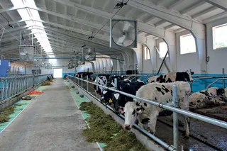 Капитал - Аграриям необходимо держать тесную связь с наукой