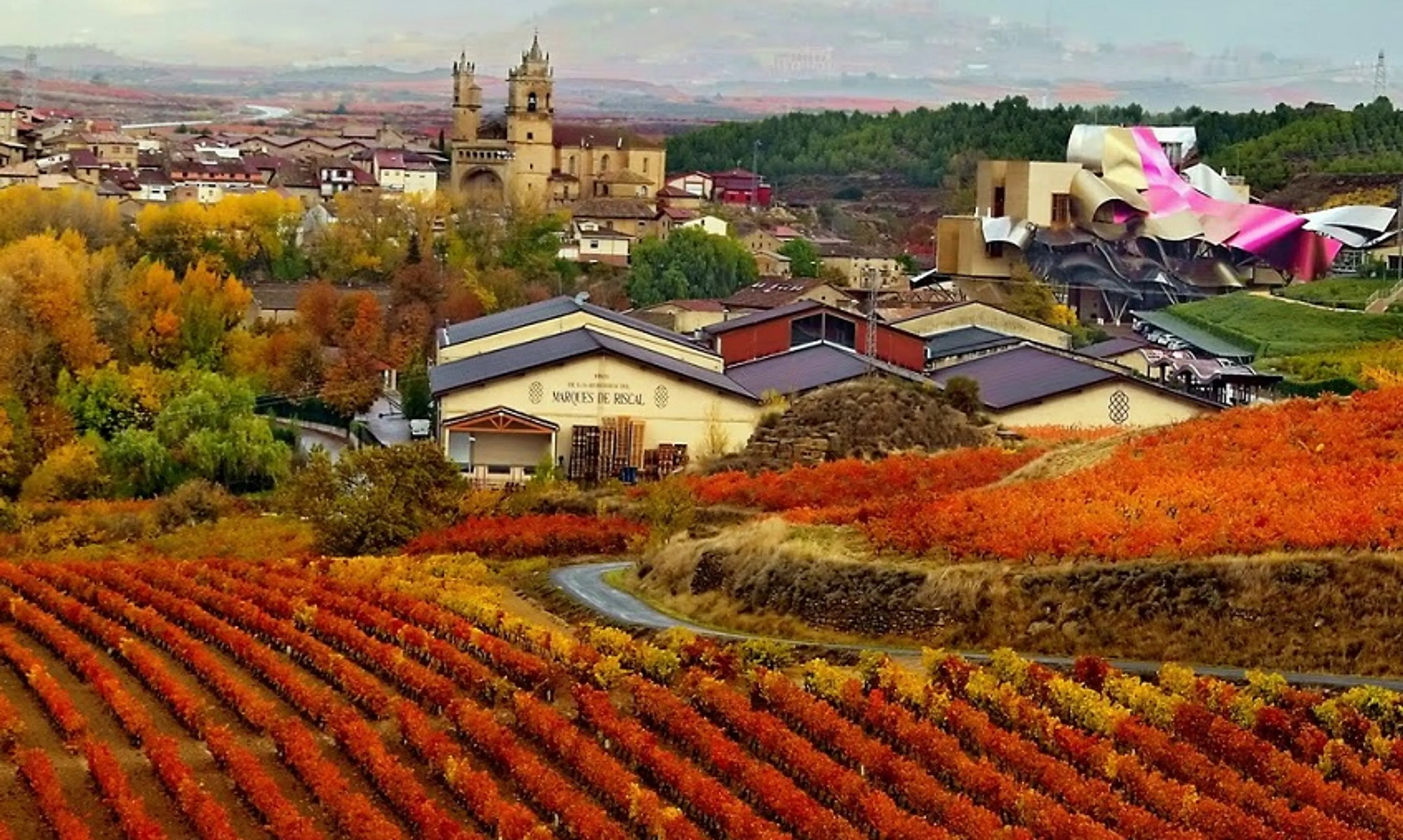 Капитал - Испанские виноделы нарастили поставки в Великобританию