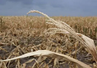 Капитал - Заявки от аграриев принимаются до 20 ноября