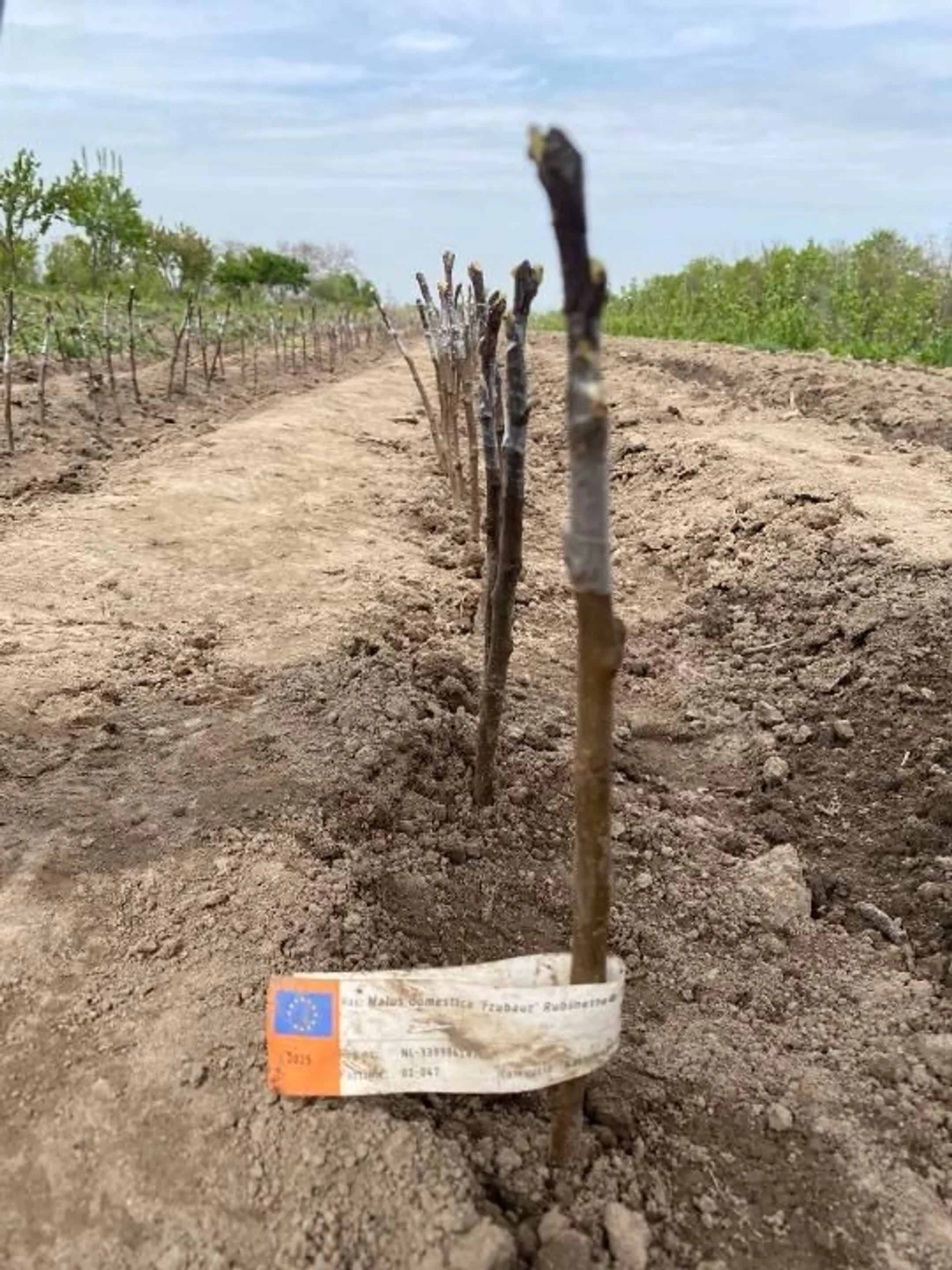 Изображение Kapital.kz