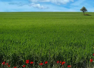 Капитал - Кыргызстан и РК не решили вопрос по участку Большой клин