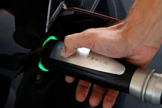 Капитал - Почему крупные компании выступают за «зеленый» образ жизни?