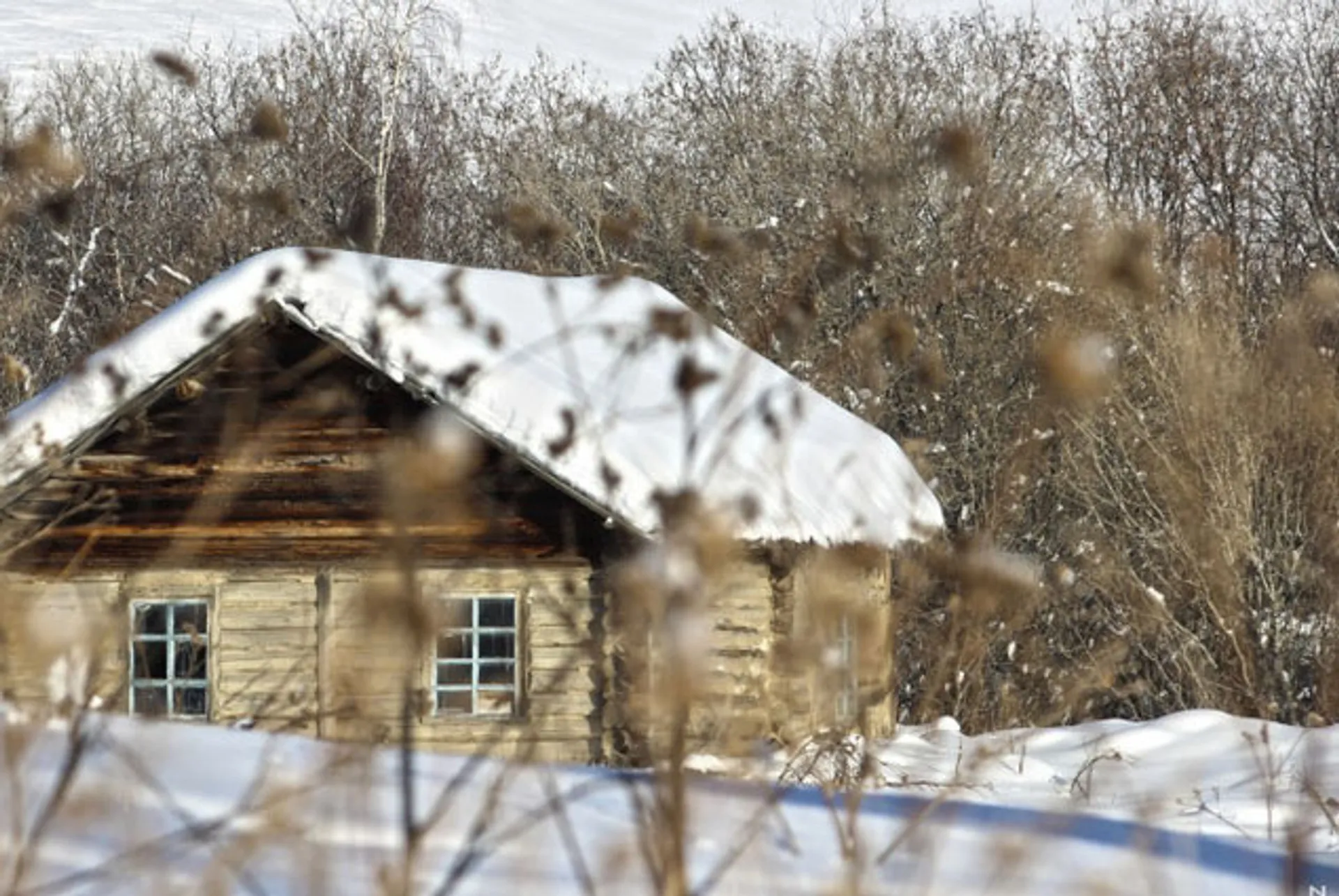 Капитал - Около 50 тысяч казахстанцев покинули свои села