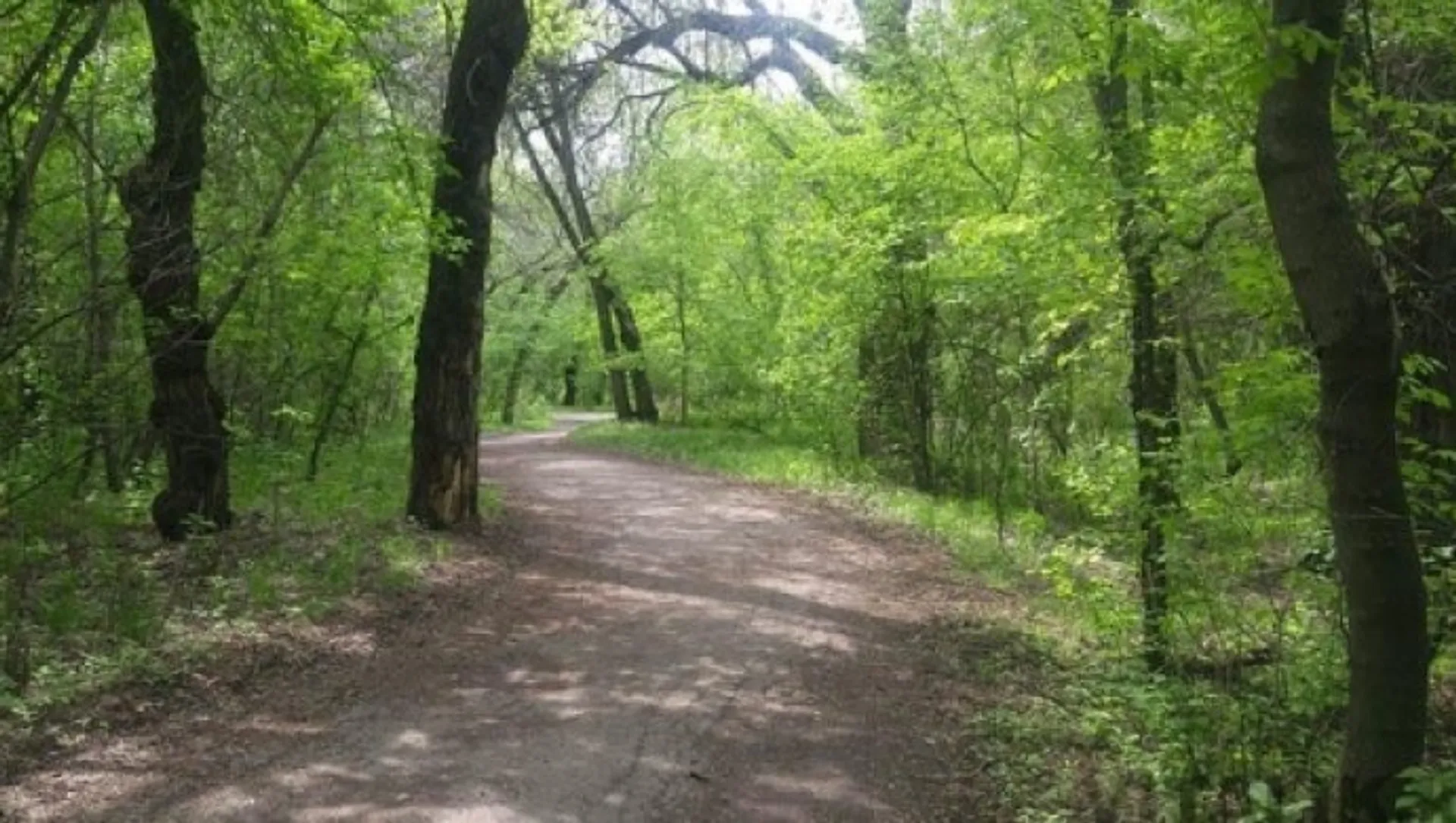 Капитал - Захваченные земельные участки в роще Баума возвращены городу
