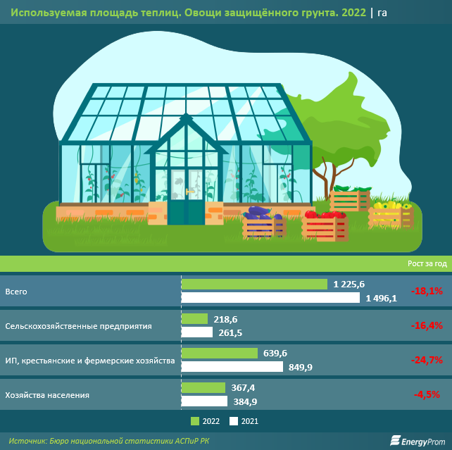 В РК сокращаются площади промышленных и фермерских теплиц 2239177 - Kapital.kz 