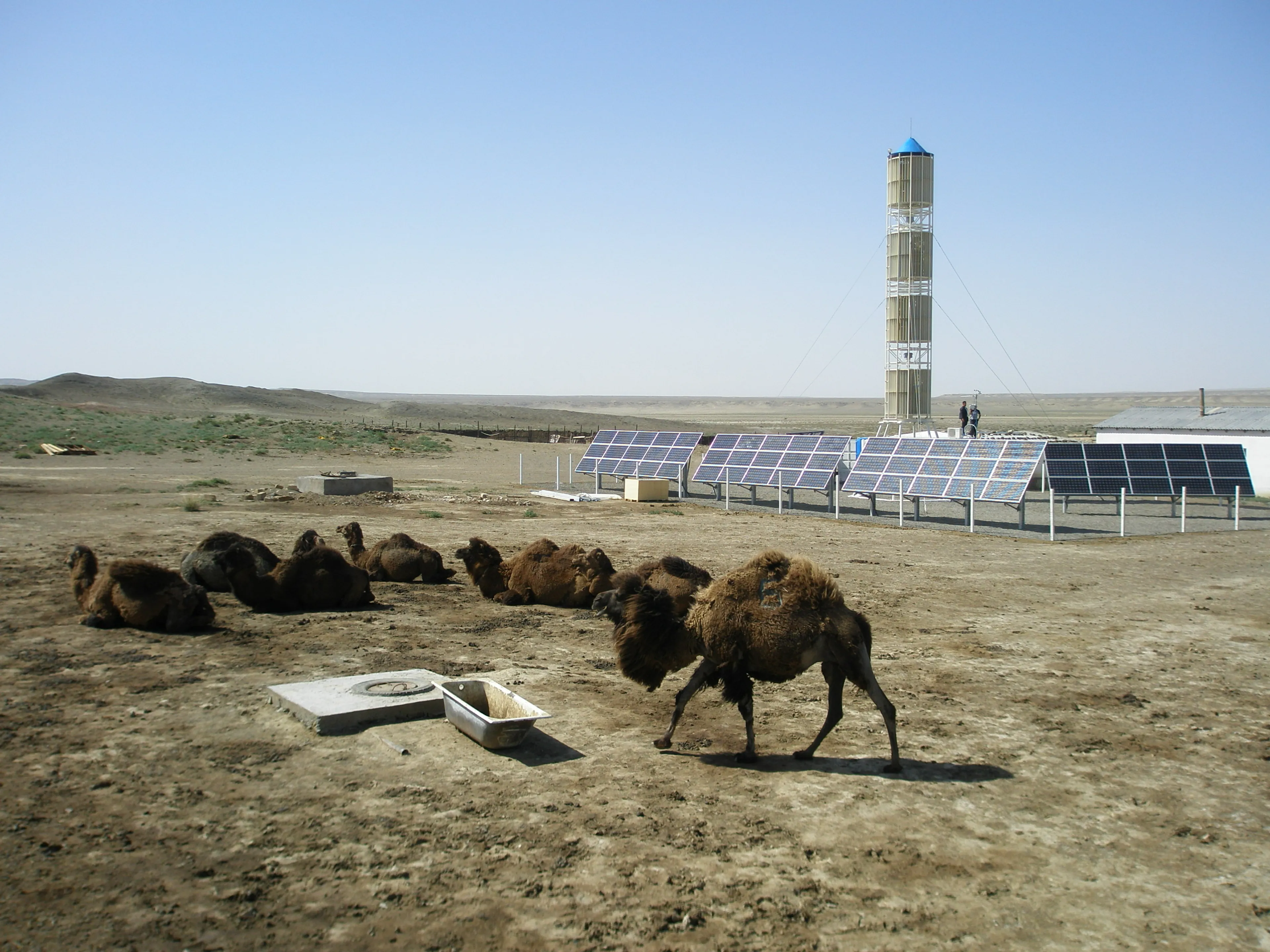 Капитал - Фермерам Мангистауской области выделят субсидии на 60 млн тенге